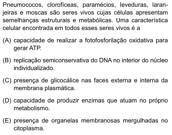 Imagem n&atilde;o cadastrada