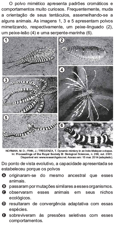 Imagem n&atilde;o cadastrada